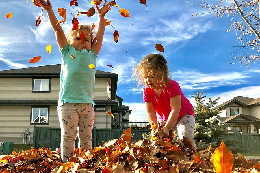 Reliable Spruce Grove Movers